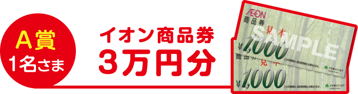 イオン商品券 3万円分